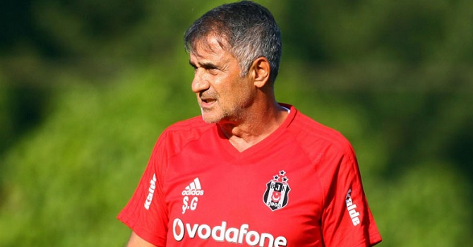 Milli Takım'ın yeni teknik direktörü belli oldu!