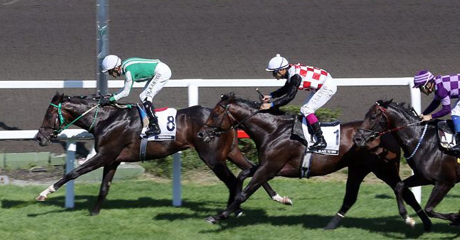 Veliefendi Hipodromu'nda operasyon