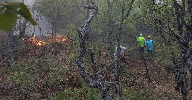 Tunceli Valiliği: Orman yangınları kısmen kontrol altına alındı