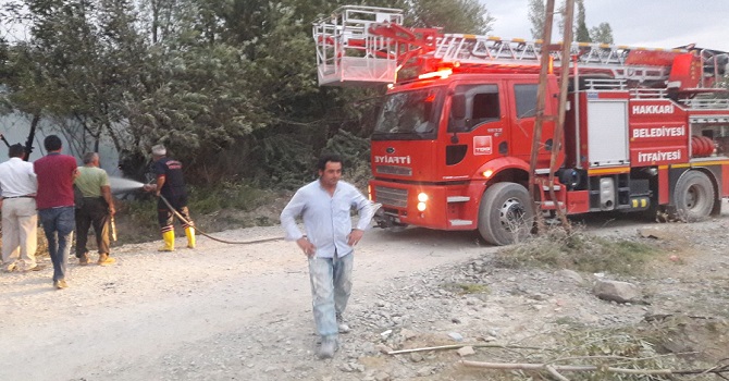 Hakkari'de çıkan Yangında Onlarca Meyve Ağacı Yandı