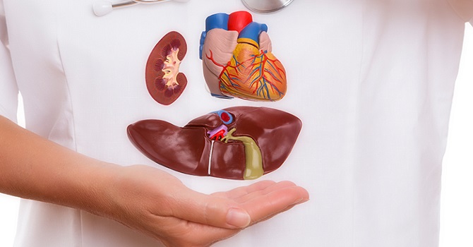 Organ bağışı yapanların sayısı Hakkari nüfusunu geçti