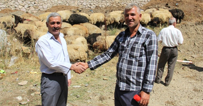 Şemdinli'de Bayram Telaşı