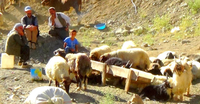 Hakkari'de bu bayram da yüzler gülmedi