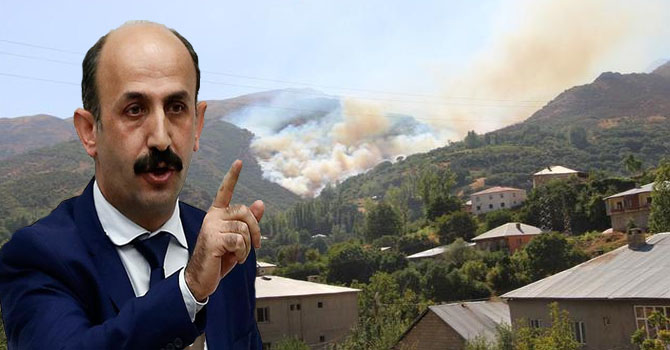 HDP'li Akdoğan Şemdinli'deki orman yangınlarını meclise taşıdı