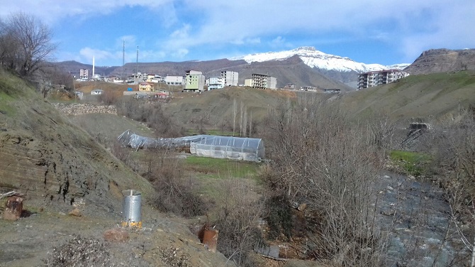 01-116.jpg 01-116.jpg