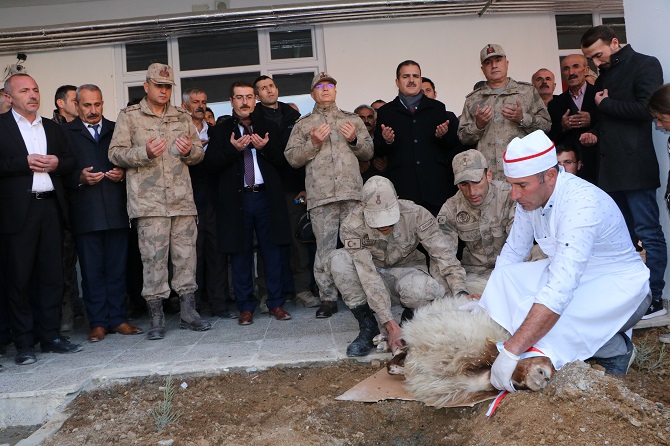 06-063.jpg 06-063.jpg