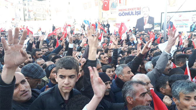 1-20190311161839.jpg 1-20190311161839.jpg