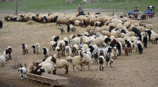 1-20190414095923.jpg 1-20190414095923.jpg