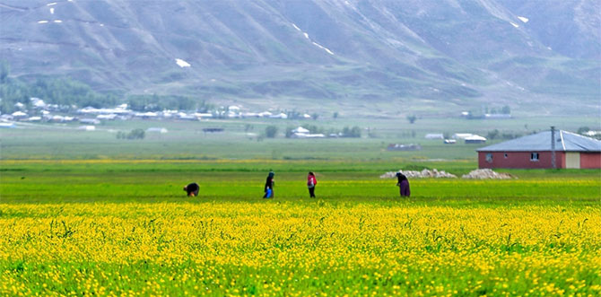 1-20190526091611.jpg 1-20190526091611.jpg