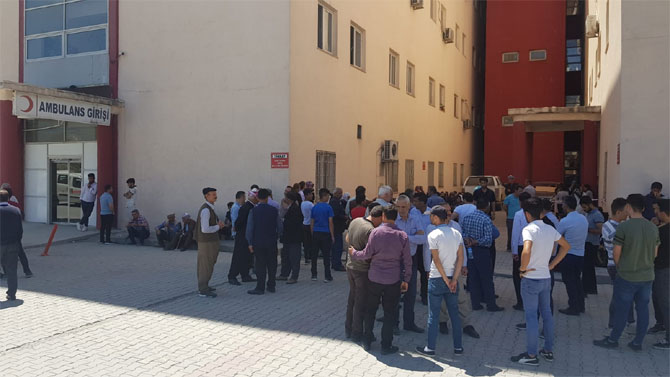 1-20190612134843.jpg 1-20190612134843.jpg