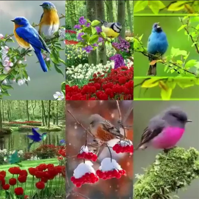 1-20190612170328.jpg 1-20190612170328.jpg