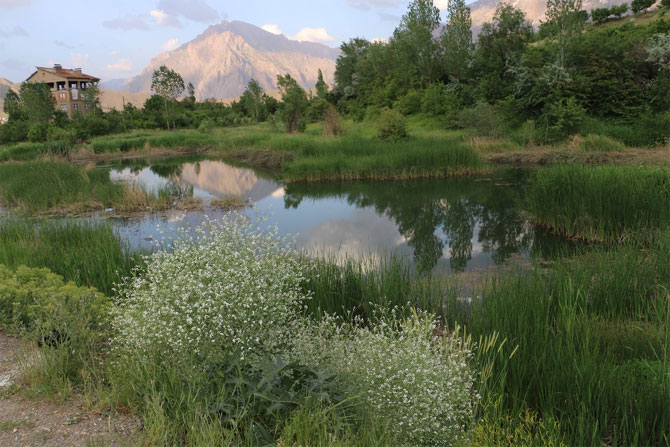 1-20190626094829.jpg 1-20190626094829.jpg