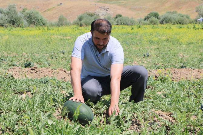 1-20190806212246.jpg 1-20190806212246.jpg