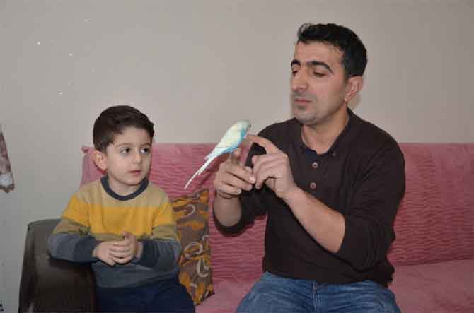 1-20200310105042.jpg 1-20200310105042.jpg