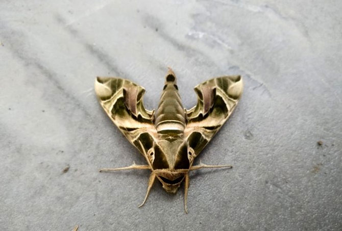 1-20200420101117.jpg 1-20200420101117.jpg