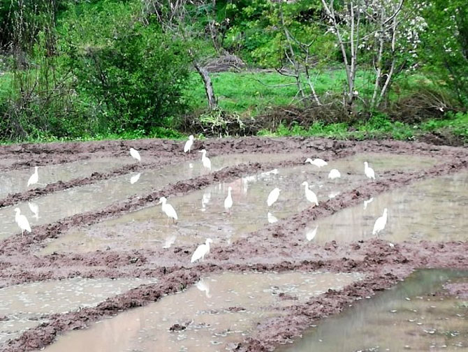 1-20200425103605.jpg 1-20200425103605.jpg