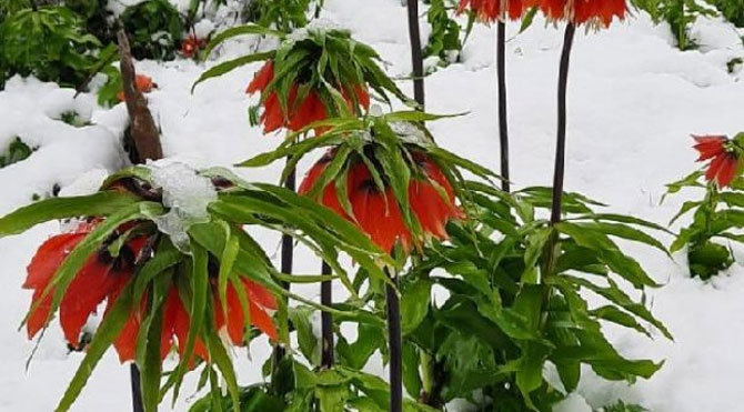 1-20200427082938.jpg 1-20200427082938.jpg