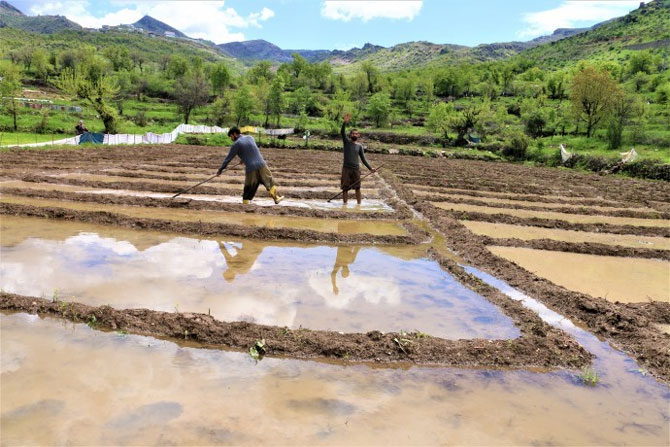 1-20200430113534.jpg 1-20200430113534.jpg