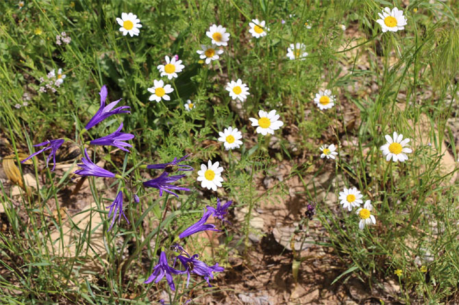 1-20200520092410.jpg 1-20200520092410.jpg