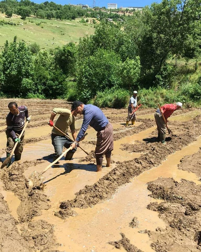 1-20200531092840.jpg 1-20200531092840.jpg