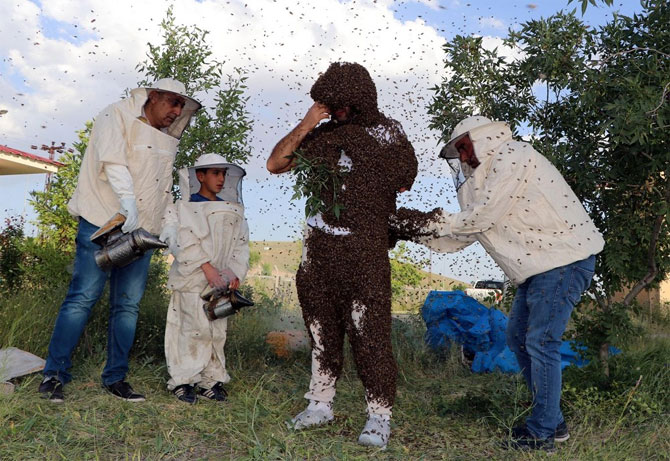 1-20200621132926.jpg 1-20200621132926.jpg