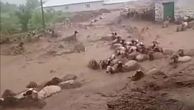 1-20200701090053.jpg 1-20200701090053.jpg