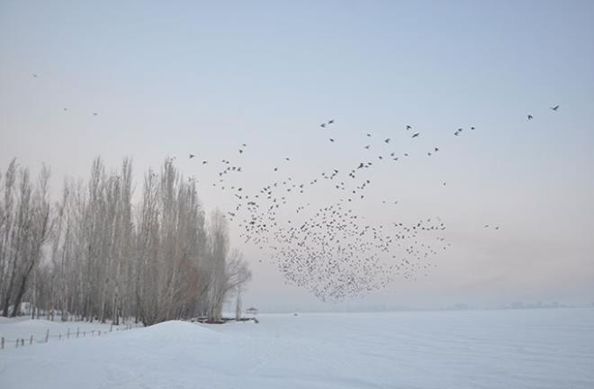 1-20210212143718.jpg 1-20210212143718.jpg