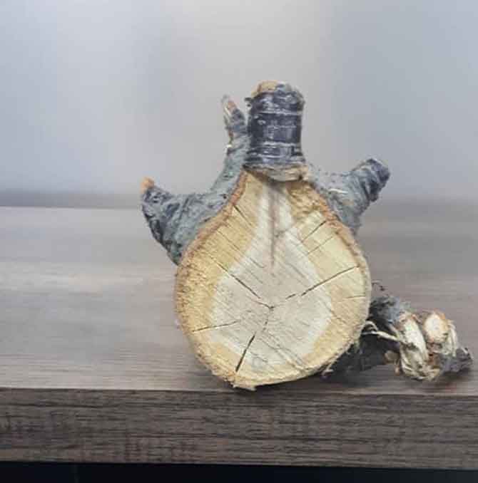 1-20210304090731.jpg 1-20210304090731.jpg