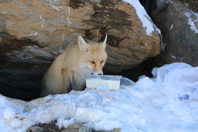 10-166.jpg 10-166.jpg