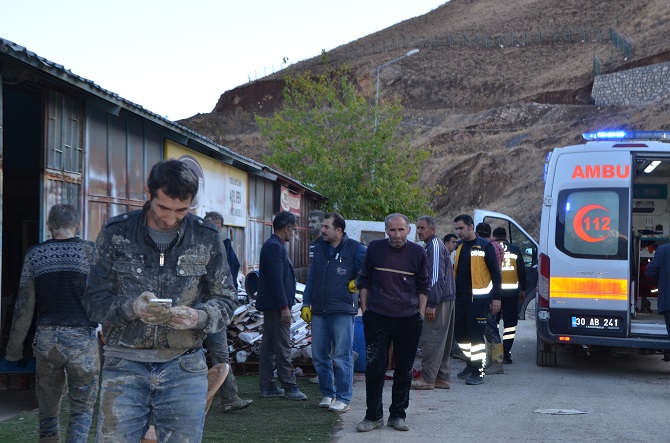 11-029.jpg 11-029.jpg