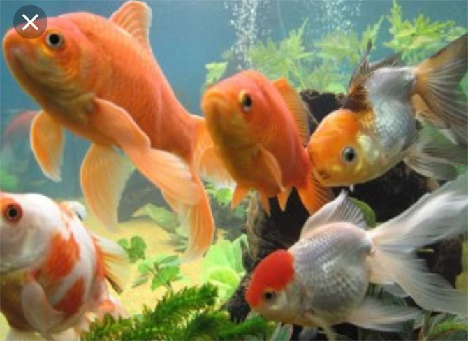 11-084.jpg 11-084.jpg