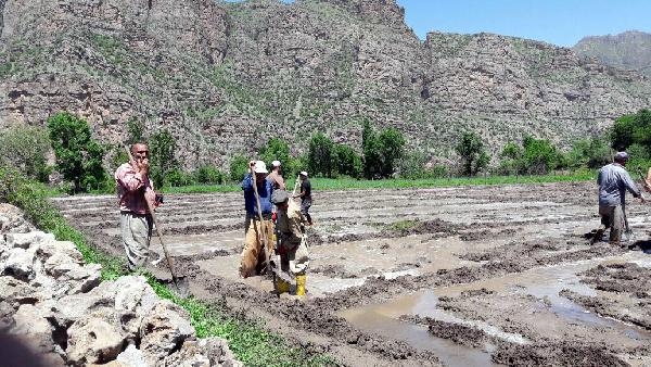 1118ffc52b7e2002e3ff6eee96befebd.jpg 1118ffc52b7e2002e3ff6eee96befebd.jpg