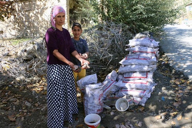 149324.jpg 149324.jpg