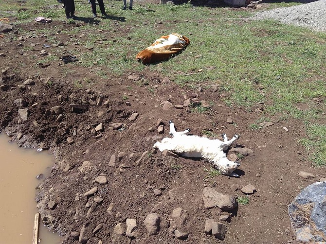 18447220_10154456153921825_4106978610867559526_n.jpg 18447220_10154456153921825_4106978610867559526_n.jpg