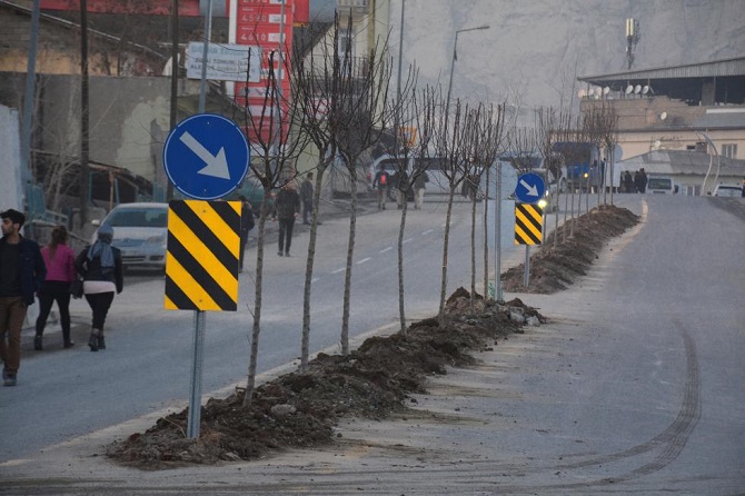 1_1312201718171621.jpg 1_1312201718171621.jpg