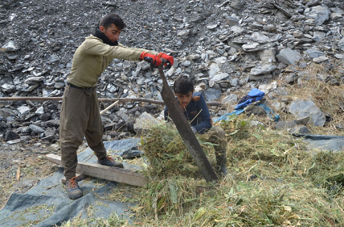 2-20190414100219.jpg 2-20190414100219.jpg