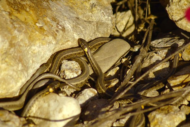 2-20190509122201.jpg 2-20190509122201.jpg