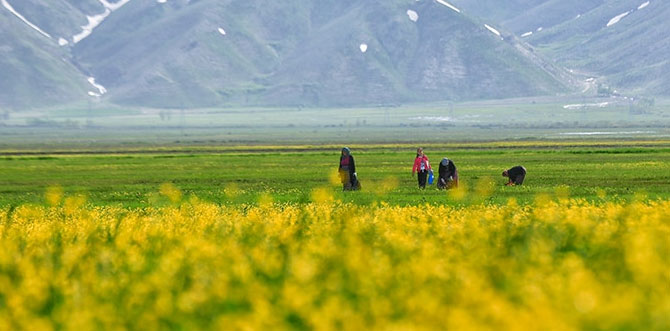 2-20190526091611.jpg 2-20190526091611.jpg