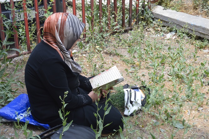 2-20190615121810.jpg 2-20190615121810.jpg