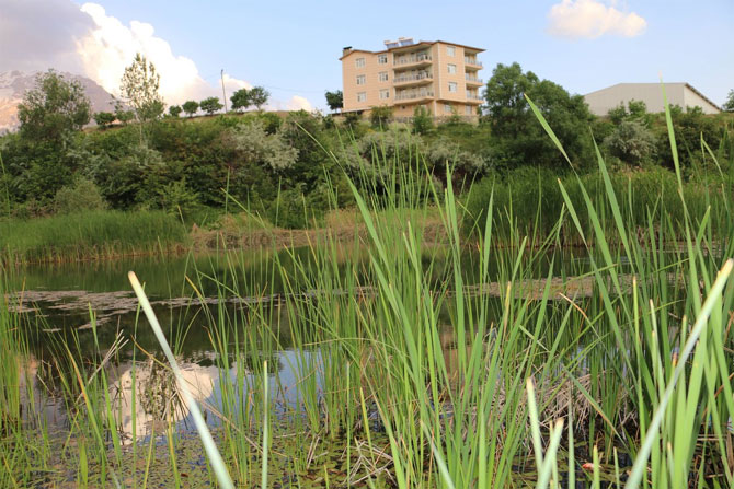 2-20190626094829.jpg 2-20190626094829.jpg