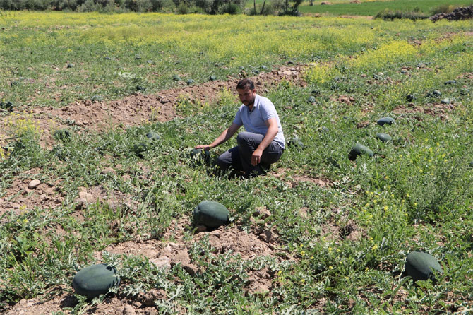 2-20190806212246.jpg 2-20190806212246.jpg