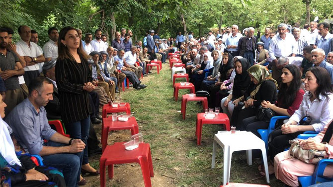 2-20190815204009.jpg 2-20190815204009.jpg