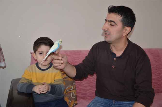 2-20200310105042.jpg 2-20200310105042.jpg