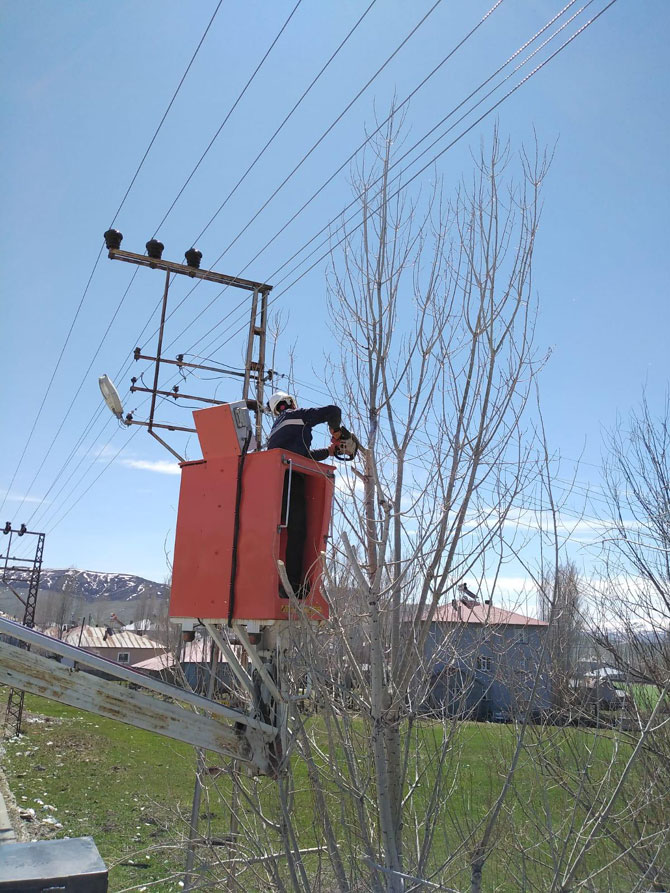 2-20200427111129.jpg 2-20200427111129.jpg