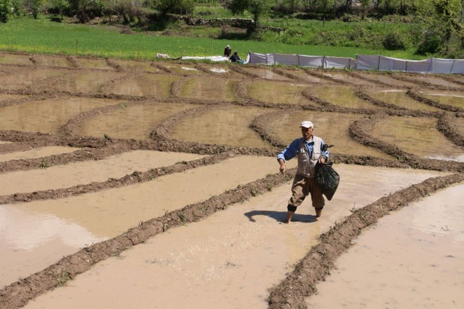 2-20200430113534.jpg 2-20200430113534.jpg