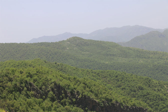 2-20200520092409.jpg 2-20200520092409.jpg