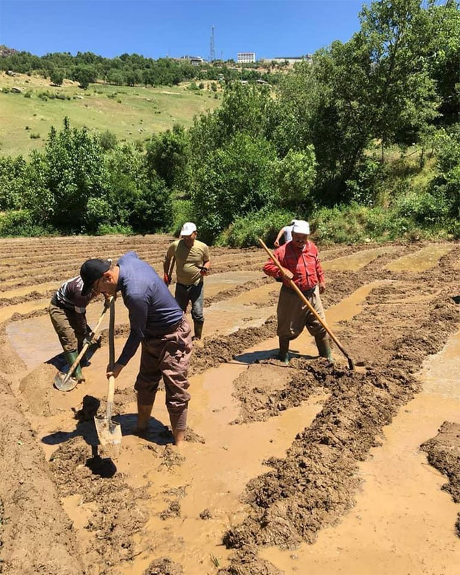 2-20200531092841.jpg 2-20200531092841.jpg