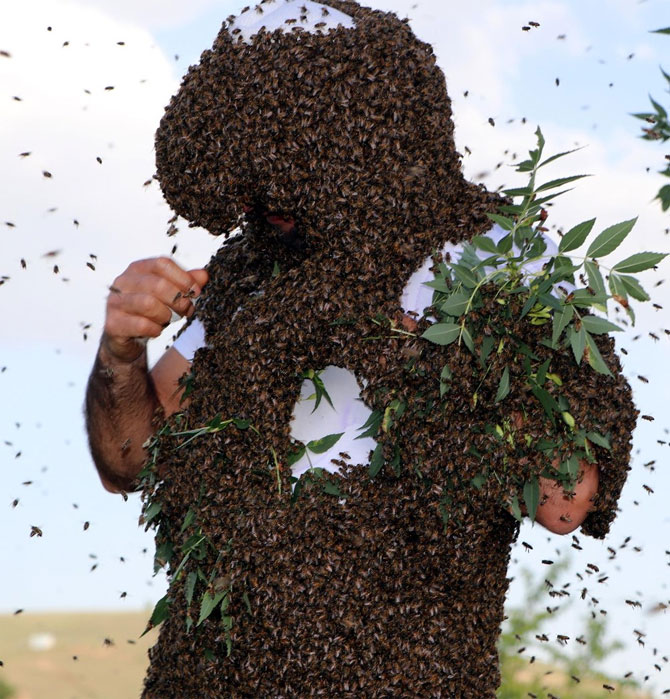 2-20200621132926.jpg 2-20200621132926.jpg