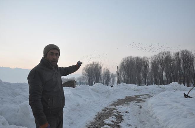 2-20210212143718.jpg 2-20210212143718.jpg