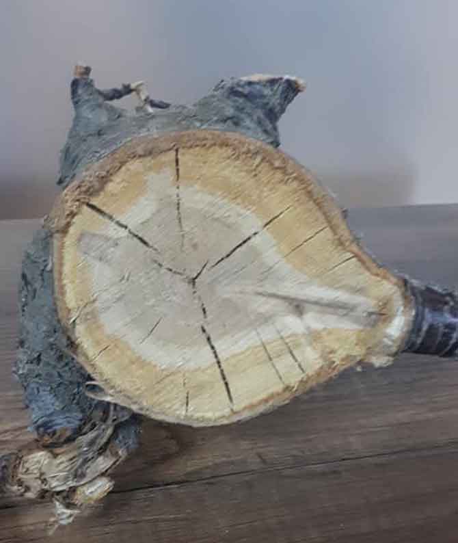 2-20210304090731.jpg 2-20210304090731.jpg